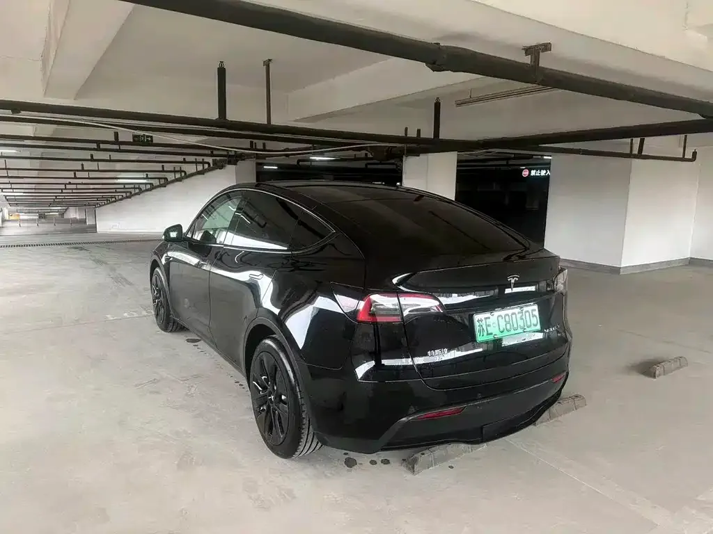 Tesla Model Y 2023 из CN, фото 5