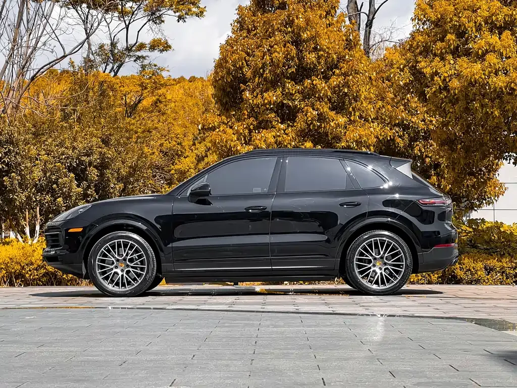 Porsche Cayenne — фото 6
