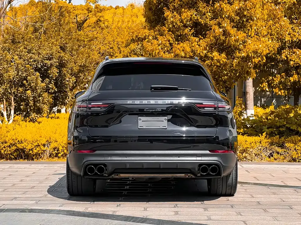Porsche Cayenne — фото 10