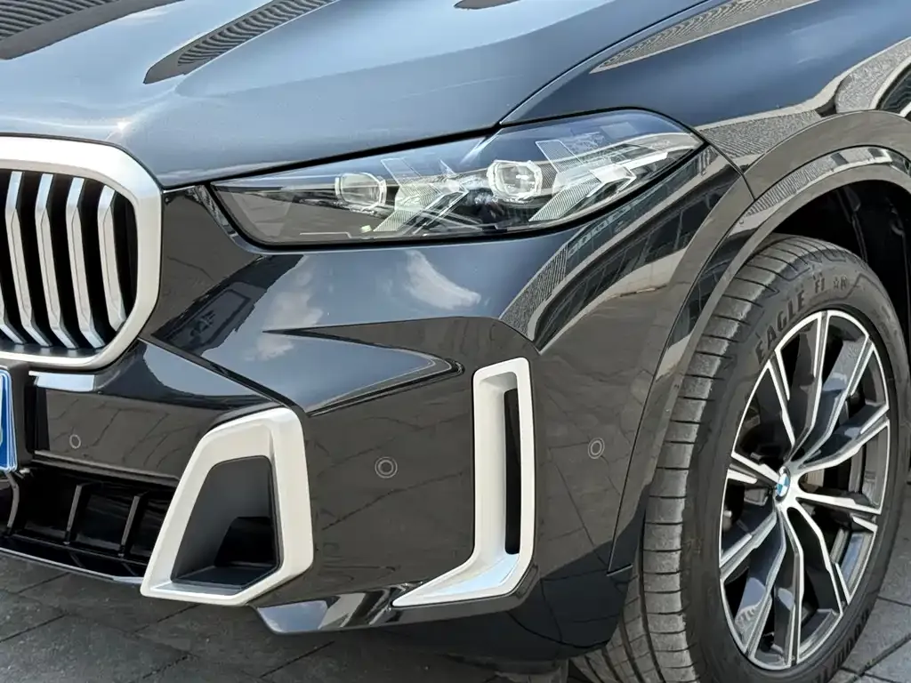 BMW X5 — фото 10