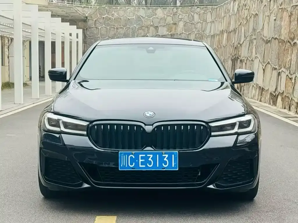 BMW 5 Series 2022 из CN, фото 4