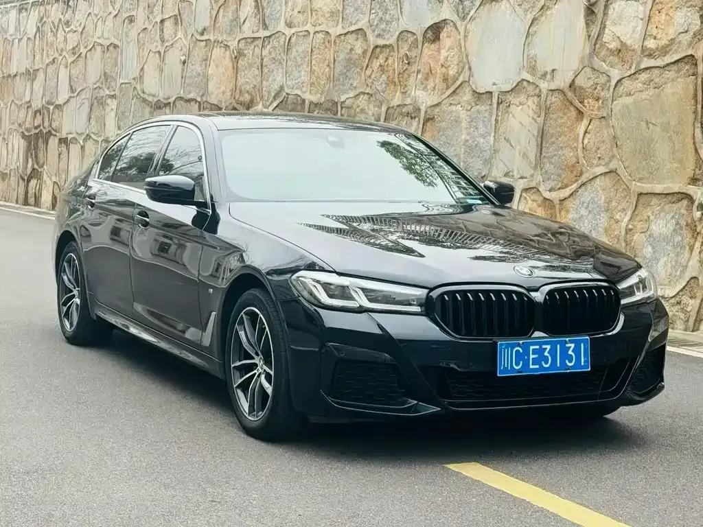 BMW 5 Series 2022 из CN, фото 6