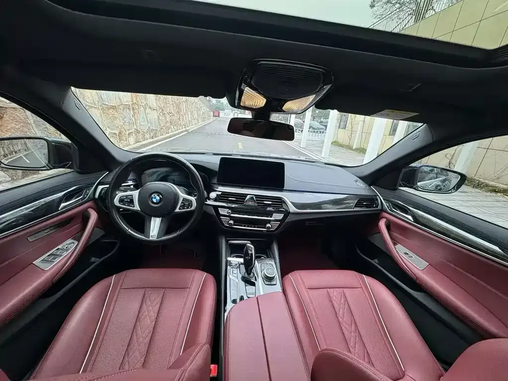 BMW 5 Series 2022 из CN, фото 7