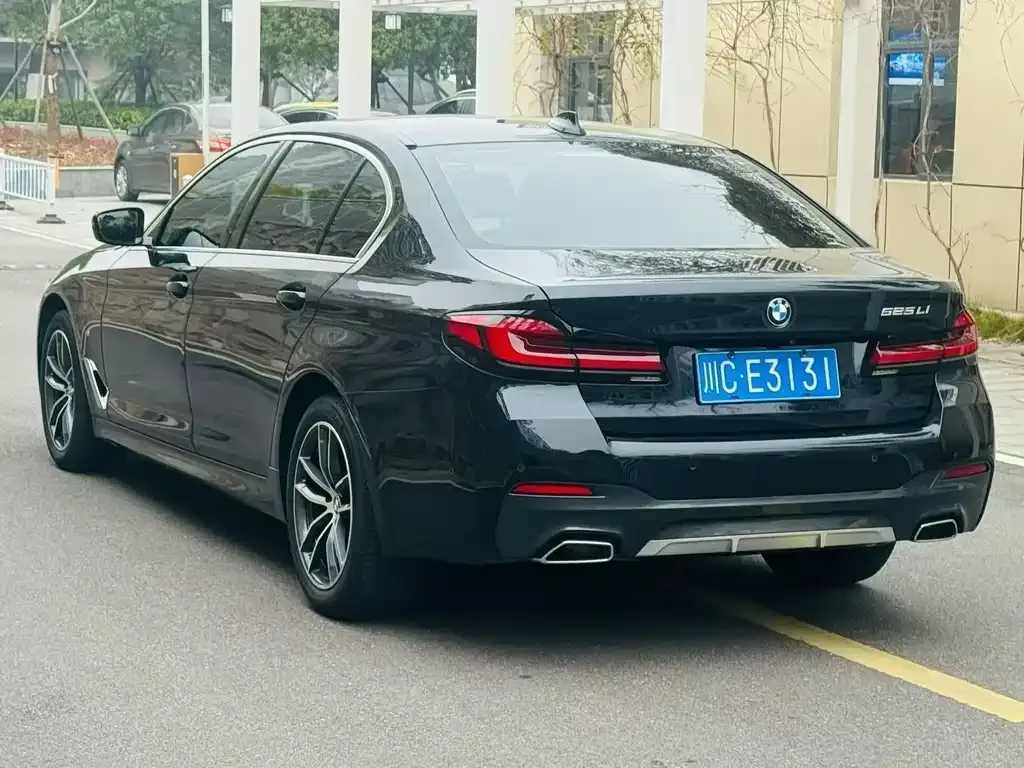 BMW 5 Series 2022 из CN, фото 5