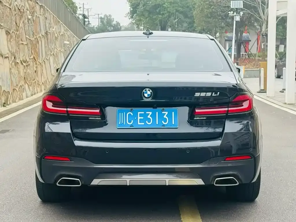 BMW 5 Series 2022 из CN, фото 8