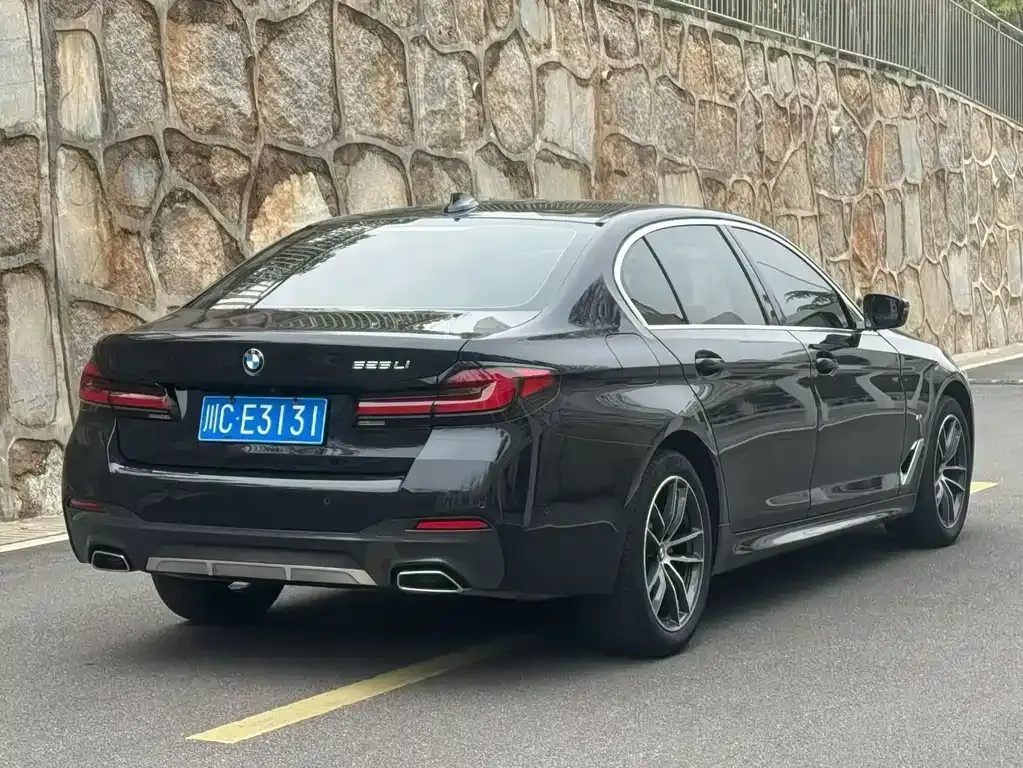 BMW 5 Series 2022 из CN, фото 9