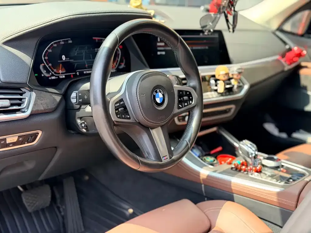 BMW X5 (Import) — фото 6
