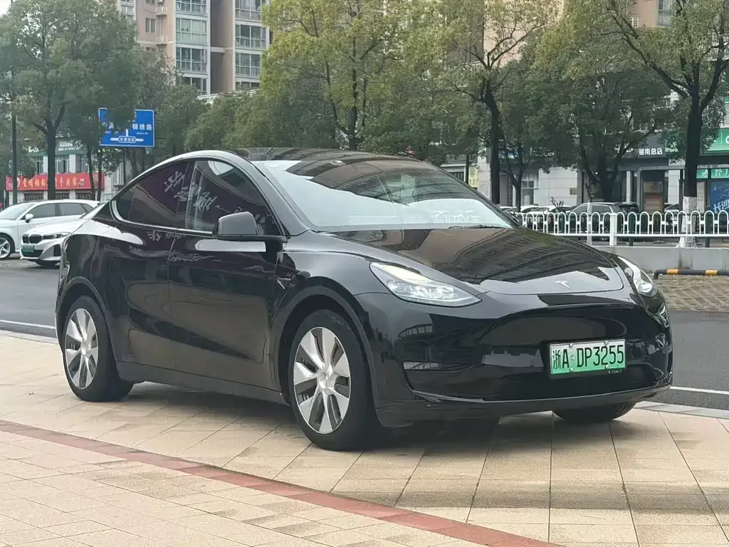 Tesla Model Y — фото 6