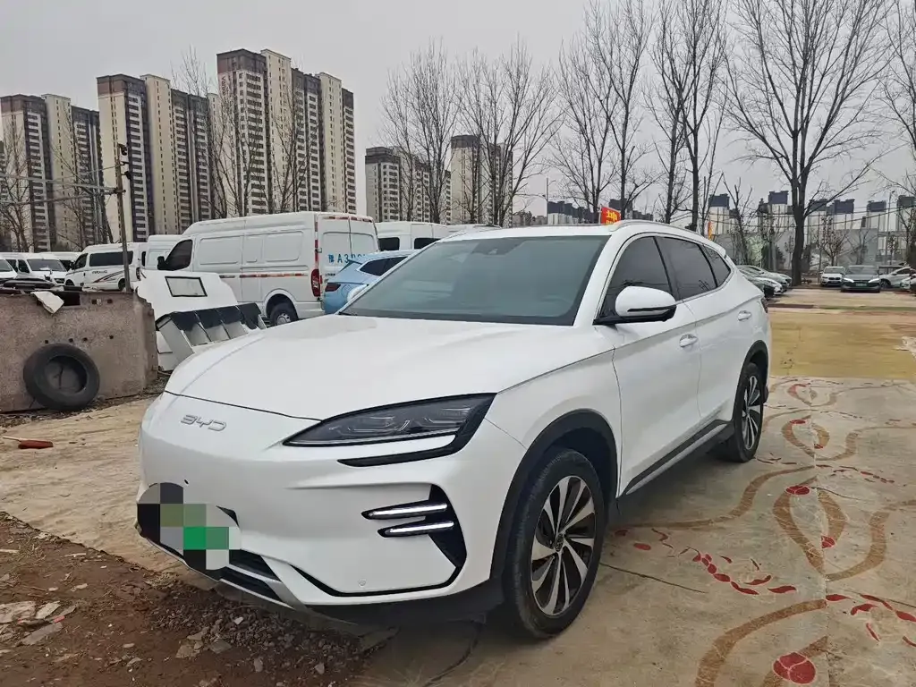 BYD PLUS New Energy — фото 5