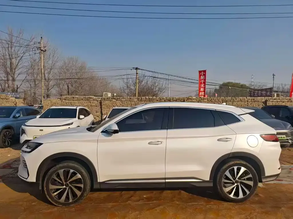BYD PLUS New Energy — фото 3