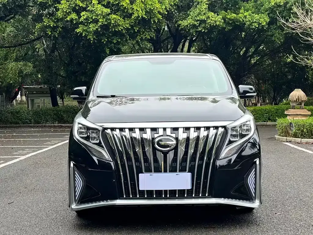 GAC Motor Trumpchi M8 2021 из CN, фото 9