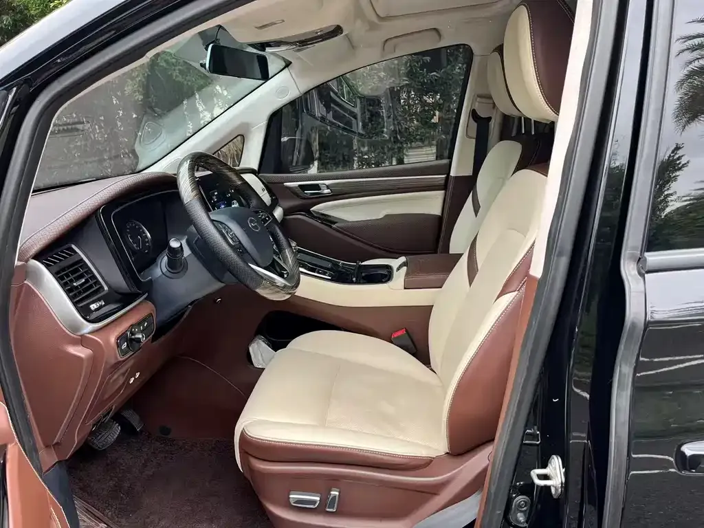 GAC Motor Trumpchi M8 2021 из CN, фото 6