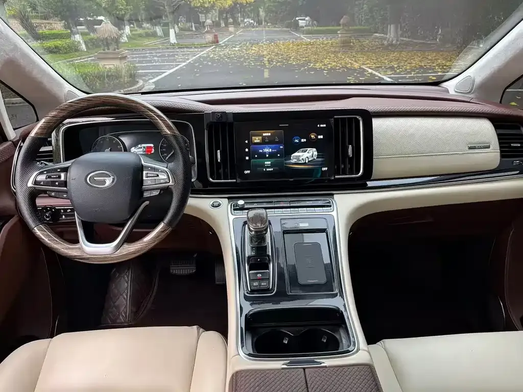 GAC Motor Trumpchi M8 2021 из CN, фото 8