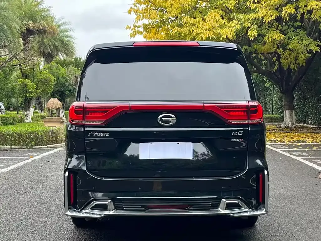 GAC Motor Trumpchi M8 2021 из CN, фото 2