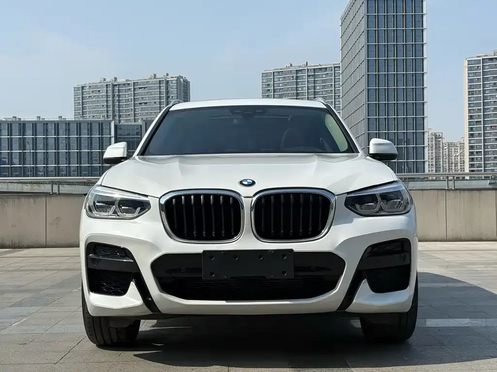 BMW X3 — фото 1