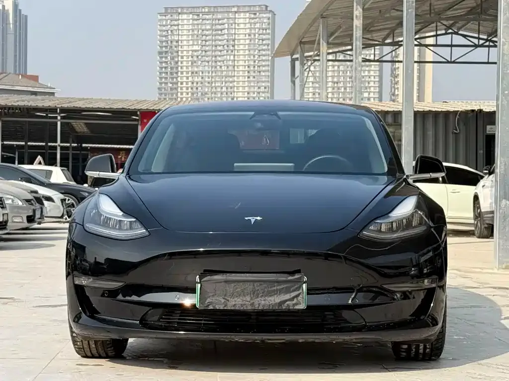 Tesla Model 3 2021 из CN, фото 2