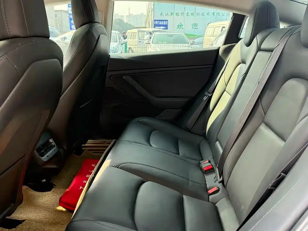 Tesla Model 3 2021 из CN, фото 6