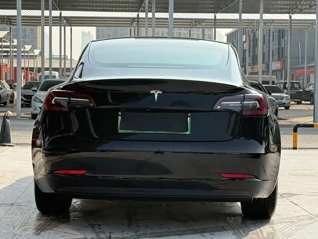Tesla Model 3 2021 из CN, фото 4
