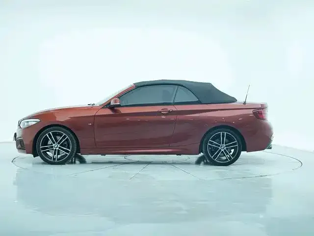 BMW 2 Series (Import) 2021 из CN, фото 6