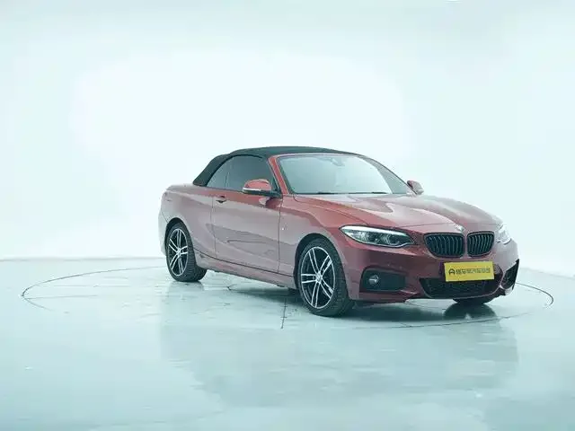 BMW 2 Series (Import) 2021 из CN, фото 7