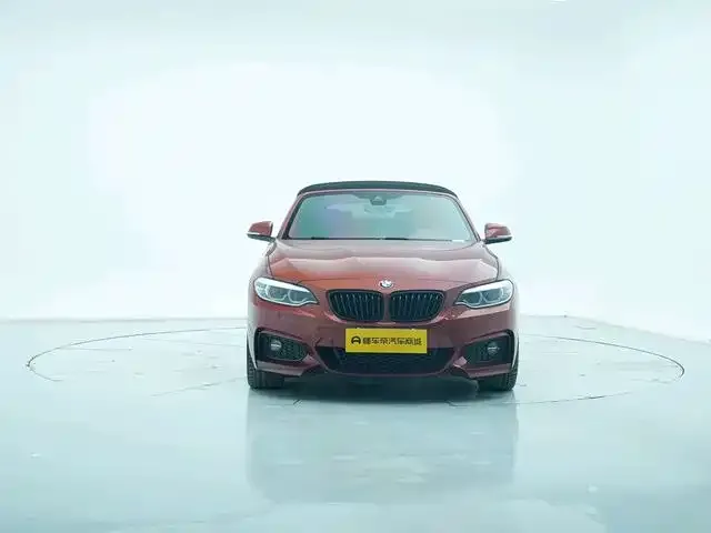 BMW 2 Series (Import) 2021 из CN, фото 5