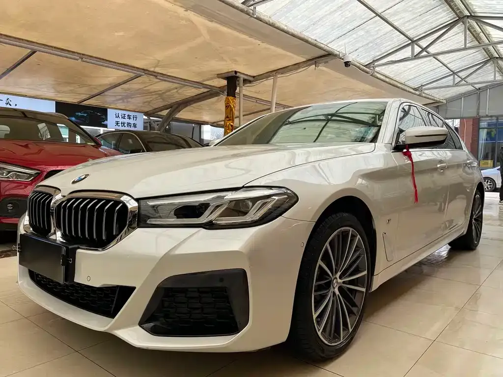 BMW 5 Series 2023 из CN, фото 1