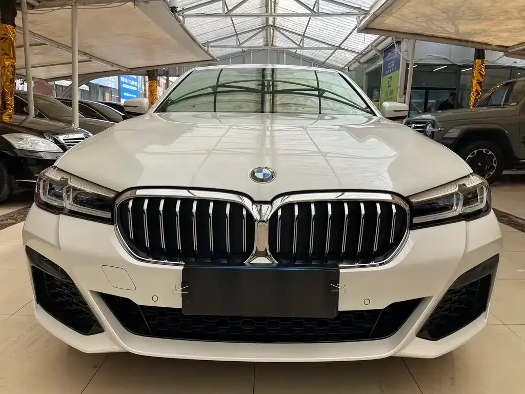 BMW 5 Series 2023 из CN, фото 4