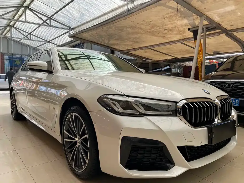 BMW 5 Series 2023 из CN, фото 9