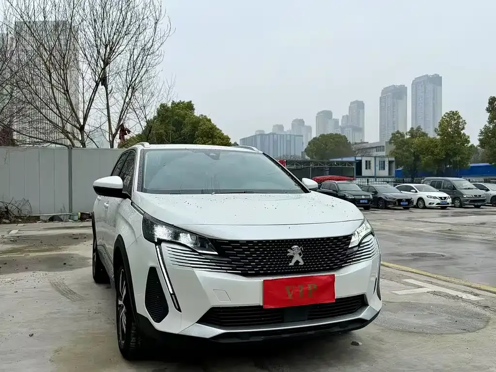 Peugeot 5008 2024 из CN, фото 6