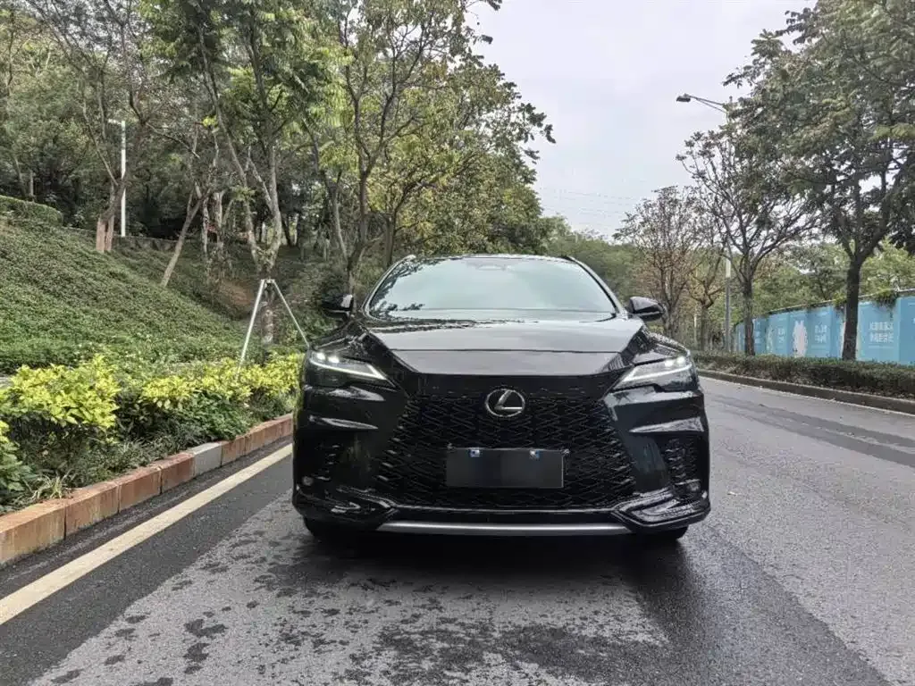 Lexus RX 2024 из CN, фото 10