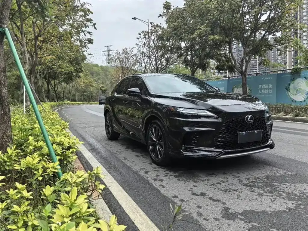 Lexus RX 2024 из CN, фото 8