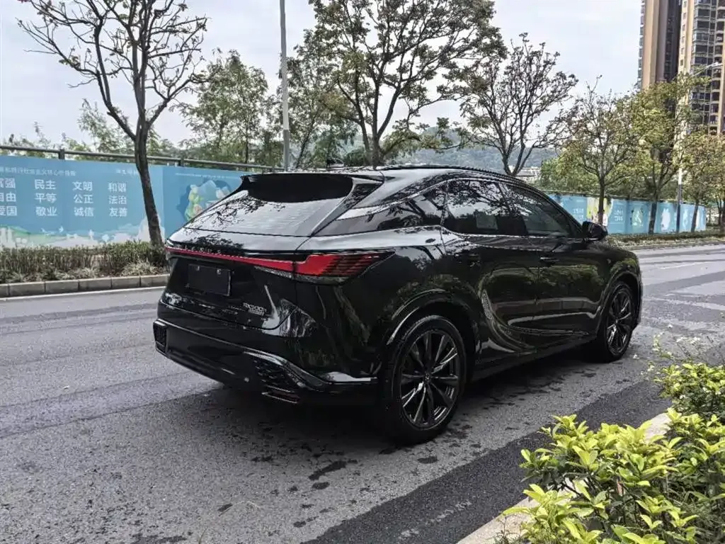 Lexus RX 2024 из CN, фото 6