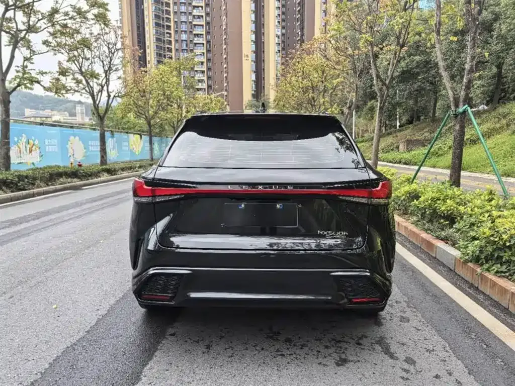 Lexus RX 2024 из CN, фото 4