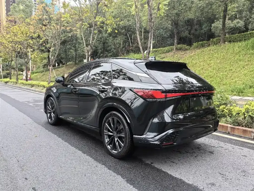 Lexus RX 2024 из CN, фото 5