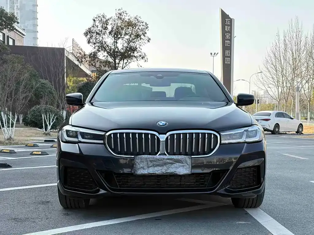 BMW 5 Series 2023 из CN, фото 8