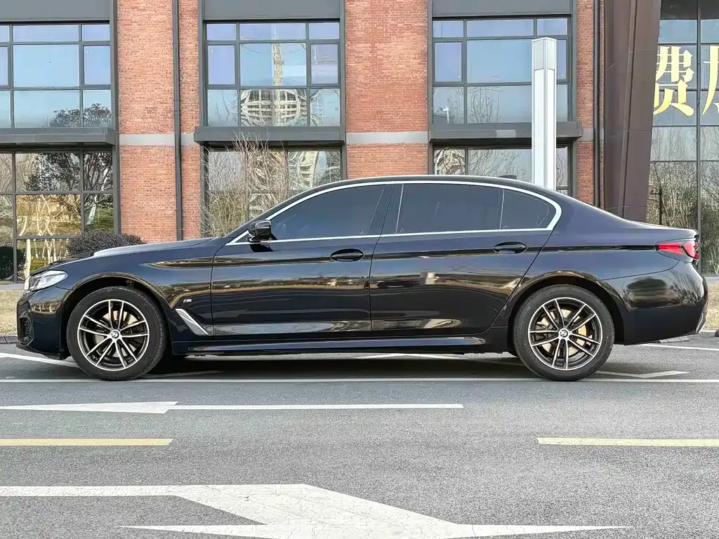 BMW 5 Series 2023 из CN, фото 9