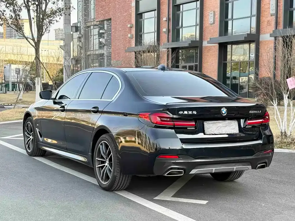 BMW 5 Series 2023 из CN, фото 3