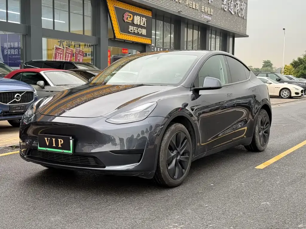 Tesla Model Y — фото 1