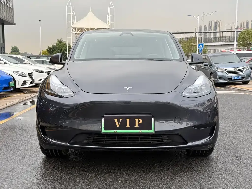 Tesla Model Y — фото 2