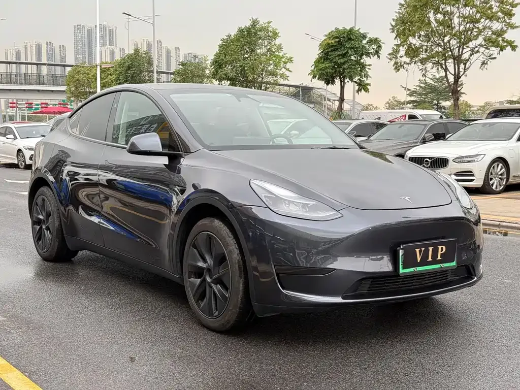 Tesla Model Y — фото 9