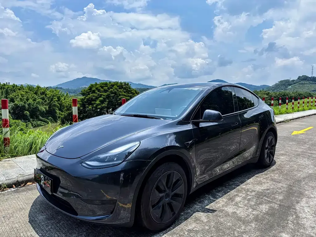 Tesla Model Y — фото 1