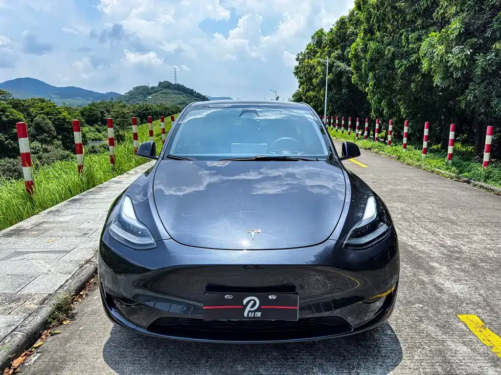 Tesla Model Y — фото 9