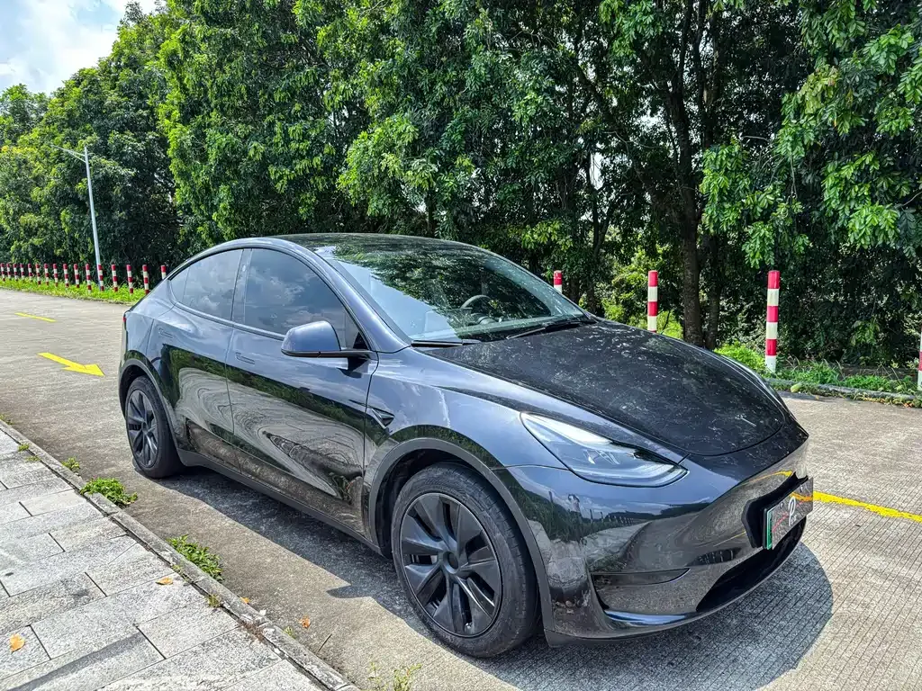Tesla Model Y — фото 6