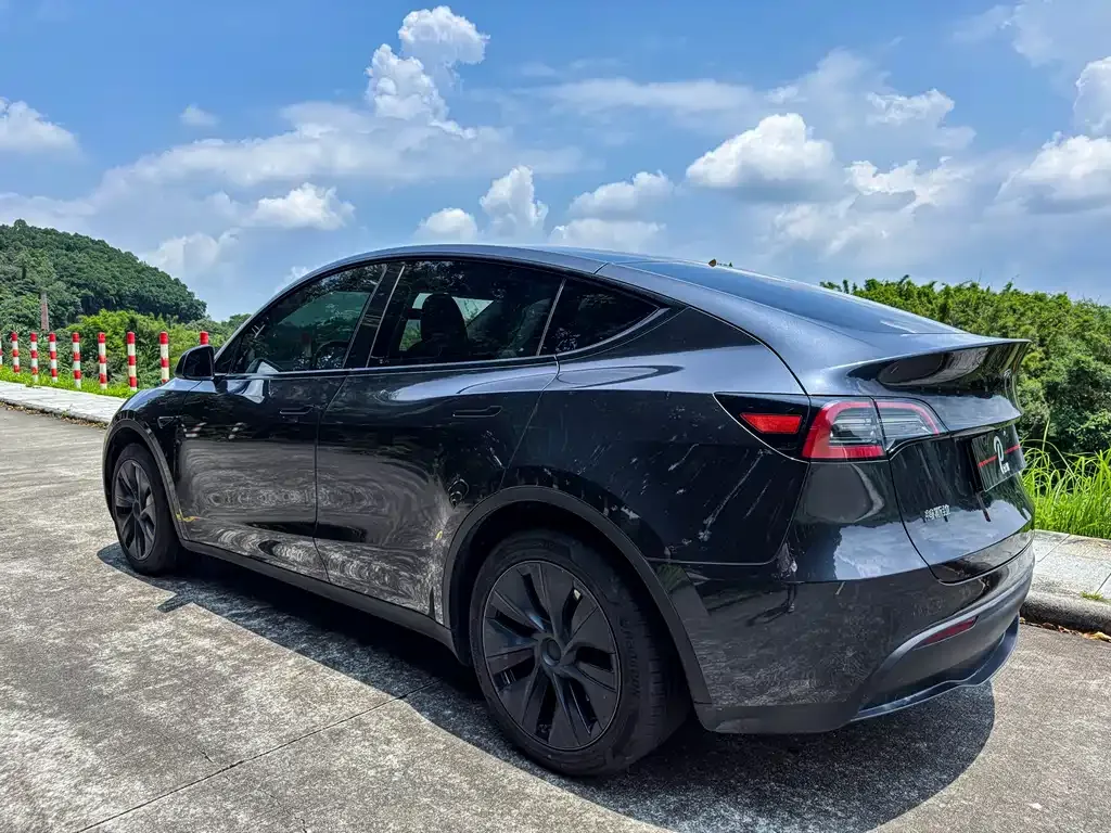 Tesla Model Y — фото 4
