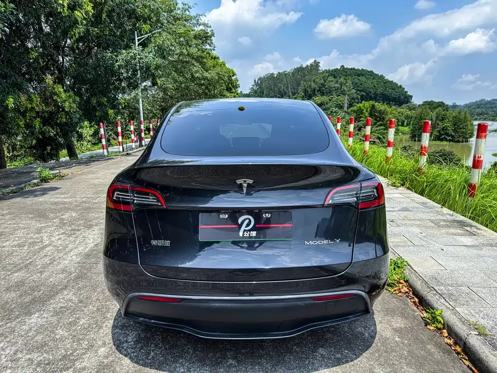 Tesla Model Y — фото 5