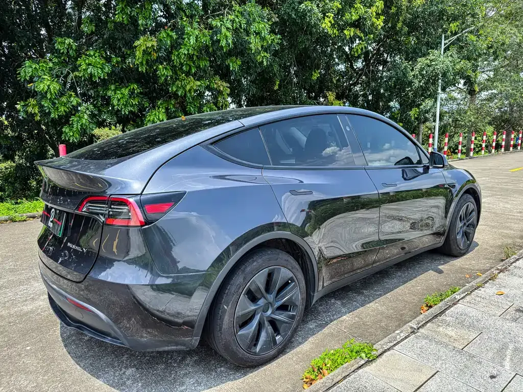 Tesla Model Y — фото 10