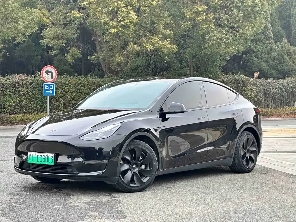 Tesla Model Y — фото 1