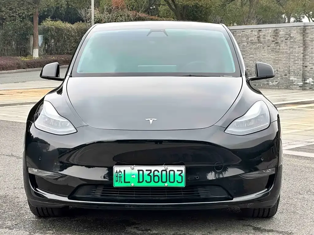 Tesla Model Y — фото 5