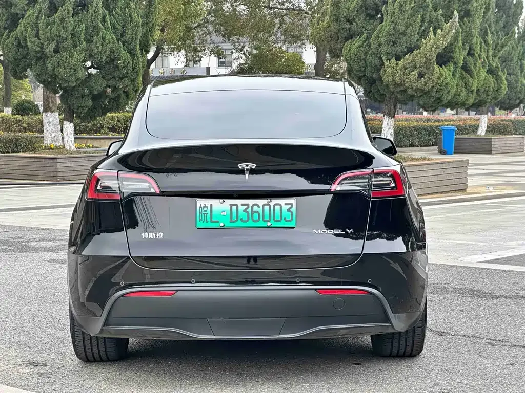 Tesla Model Y — фото 8