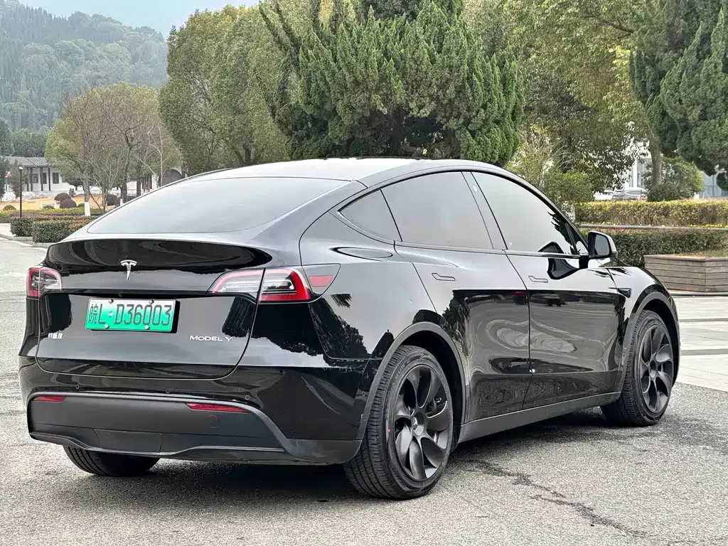 Tesla Model Y — фото 6